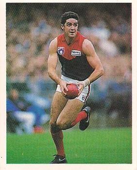 1993 Select AFL Stickers #167 Garry Lyon Front